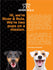 Advertisement for River & Rula cat supplements featuring two dogs on a black and orange background with brand logo.