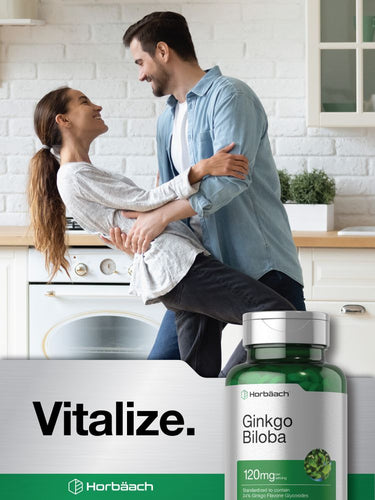 Ginkgo Biloba 120mg per serving | 240 Tablets