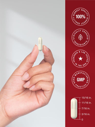 Vinagre de Maçã 1800mg por porção | 180 Cápsulas