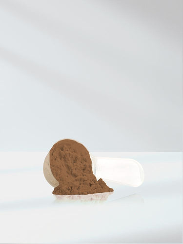 View 7 Funghi Chaga | Polvere da 10oz