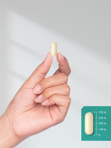 Hand holding a pill with a measurement inset on a gray background