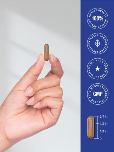 Hand holding a cylindrical pill with product details on a blue background