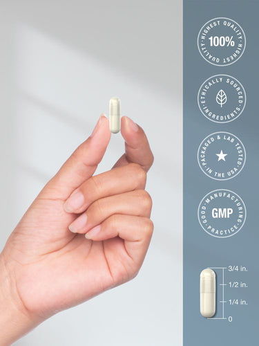 Hand holding a capsule with product features on a gray background
