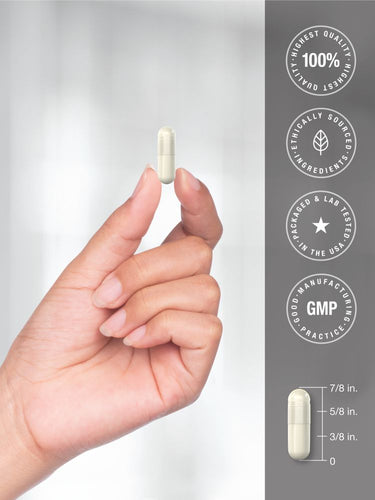 View 7 Probiotic | 50 Billion Active Organisms | 90 Capsules