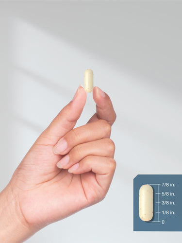Hand holding a cylindrical object with measurement details on a white background.