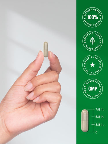 Ashwagandha and Magnesium Glycinate | 120 Vegan Capsules