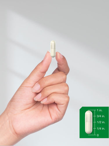 View 7 Hand holding a white capsule with size measurement guide on a gray background