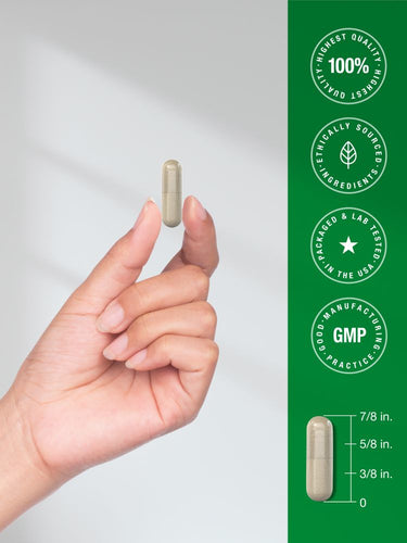 Hand holding a capsule with product details on a green background