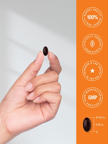 View 7 Hand holding a black bean with product details on an orange background