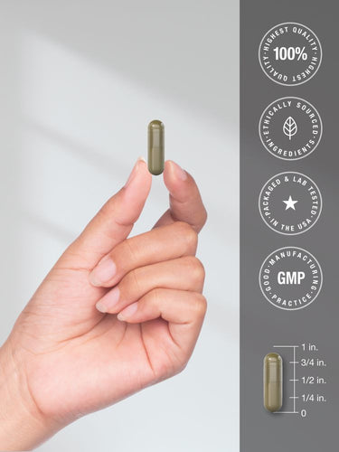 Hand holding a gold capsule with certification icons and measurements.