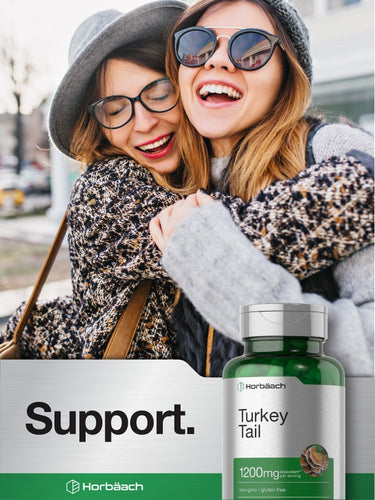 Cogumelo Turkey Tail 1200mg por porção | 120 Cápsulas