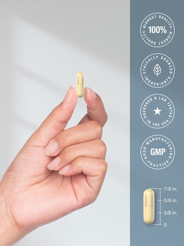 View 7 Hand holding a yellow capsule with product certification icons and dimensions on a gray background