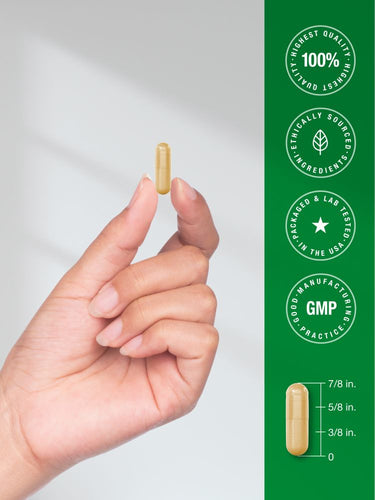 View 7 Liver Support | 600 mg Milk Thistle