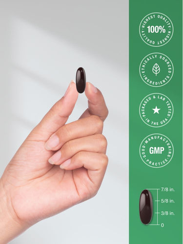 Löwenmähne 3000mg | 80 Weichkapseln