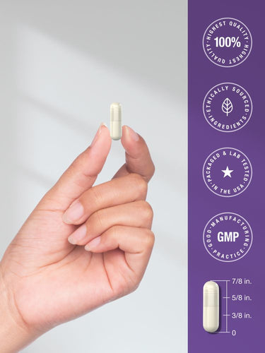Hand holding a white capsule pill with product details on a purple background.