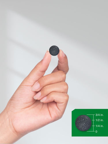 Lion's Mane | 60 Gomas