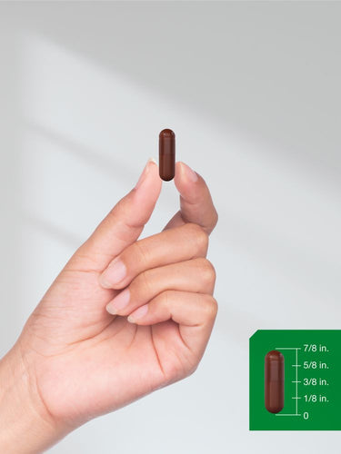 Hand holding a brown capsule with size measurement inset on a white background.