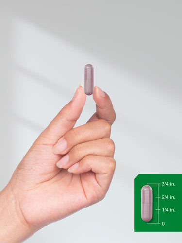 Extracto de Fruta de Arándano 1200mg | 100 Cápsulas