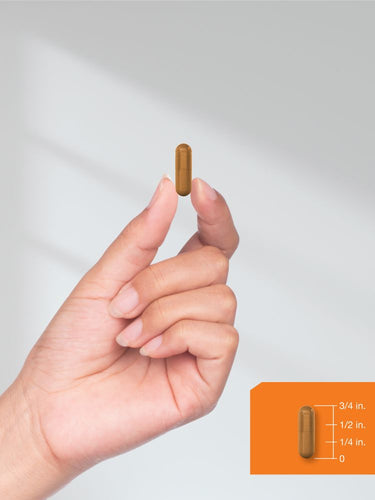 View 8 Vitamina B-2 100mg | 180 Cápsulas