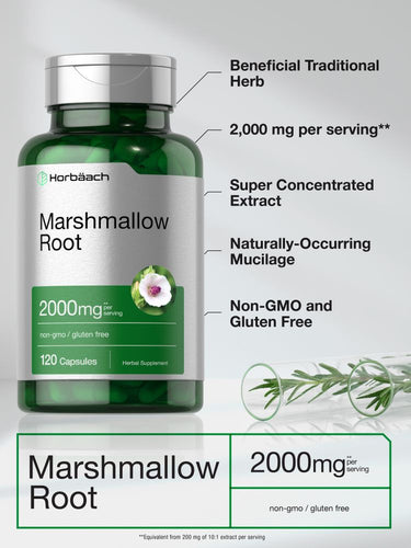 Marshmallow Root 2000mg per serving | 120 Capsules