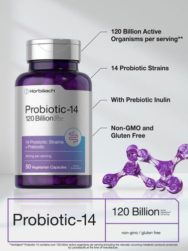 Probiotiques avec Prébiotiques | 50 Capsules
