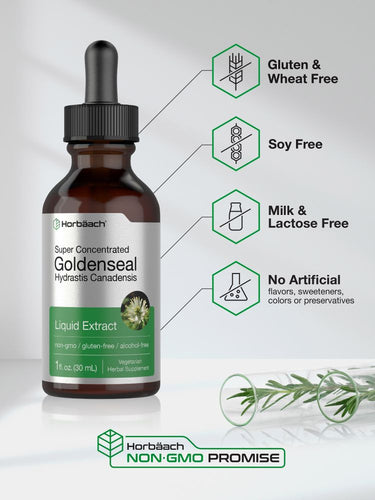 View 4 Goldenseal Root Extract | 1oz Liquid