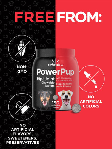 View 4 Supporto per Articolazioni e Anca per Cani | 150 Snack
