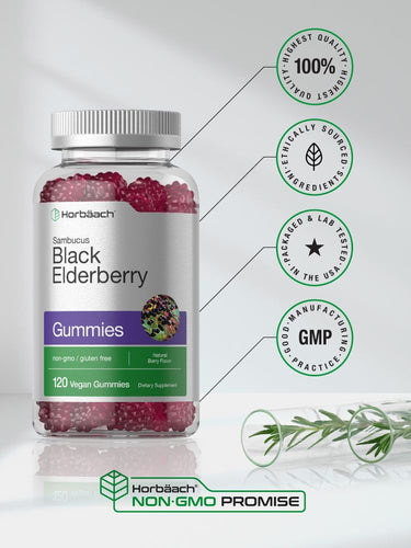Black Elderberry | 120 Gummies