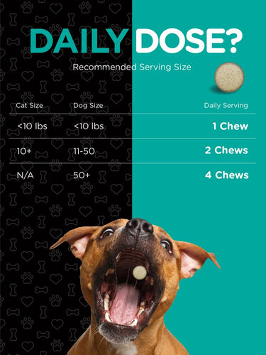 Probiotics for Dogs & Cat | 120 Tablets