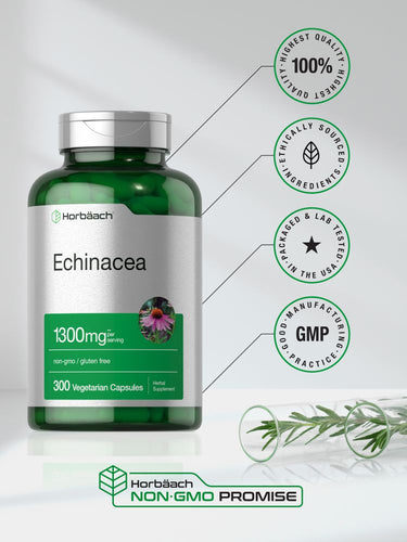 Extrato de Equinácea 1300mg por porção | 300 Cápsulas