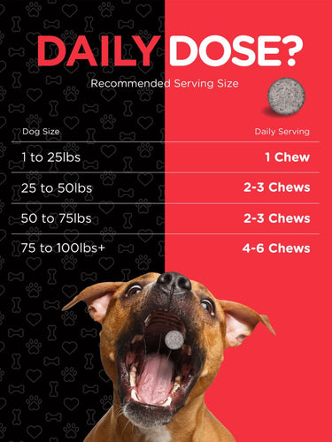 View 6 Supporto per Articolazioni e Anca per Cani | 150 Snack