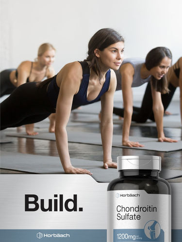 Chondroitin Sulfate 1200mg per serving | 120 Capsules