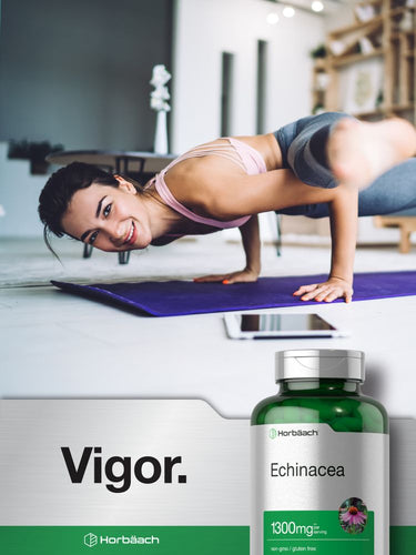 Extracto de Equinácea 1300mg por porción | 300 Cápsulas