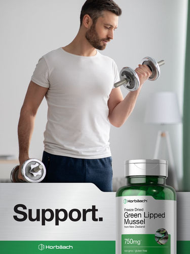 Grünlippmuschel 750mg | 120 Kapseln
