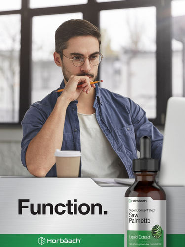 Sägepalme Extrakt | 2oz Flüssig