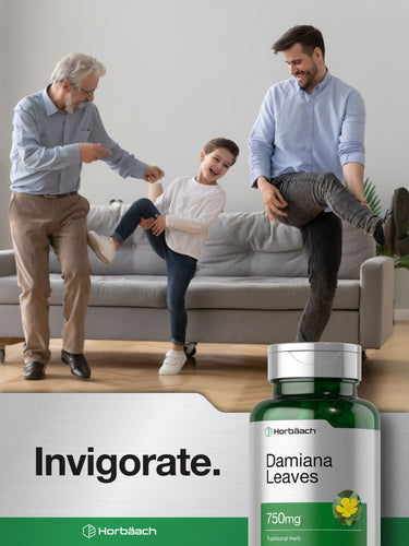 Damiana-Blatt 750mg | 200 Kapseln