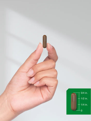 View 7 Arjuna Extract | 120 Capsules