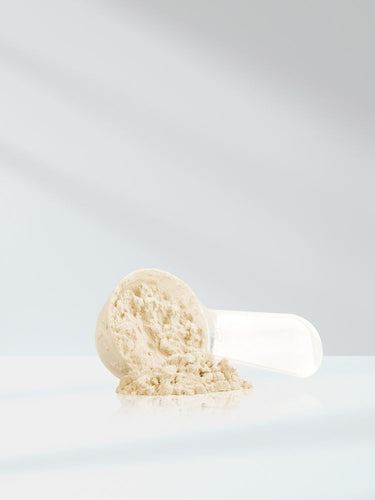 Pumpkin Seed Protein | 16oz Powder