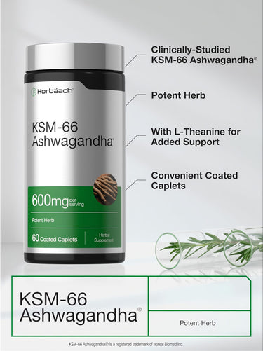 View 4 KSM-66 Ashwagandha 600mg por porção | 60 Comprimidos