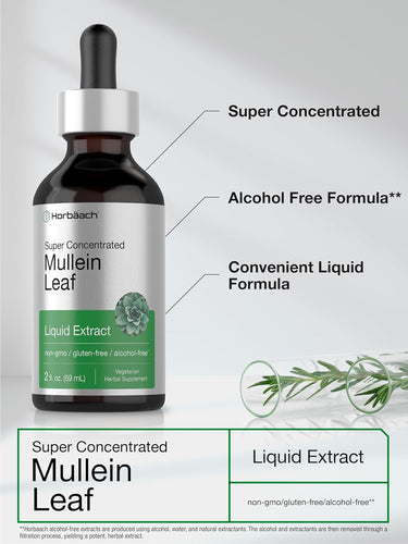 Mullein Leaf Extract | 2oz Liquid