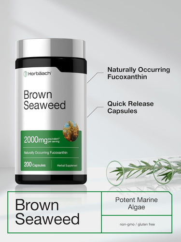 View 4 Extrait d'Algue Brune | 200 Capsules