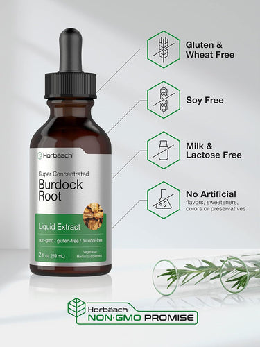 Burdock Root Extract | 2oz Liquid