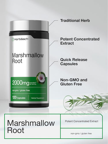 View 4 Product highlights graphic stating Traditional Herb, Potent Concentrated Extract, Quick Release Capsules, Non-GMO and Gluten Free.