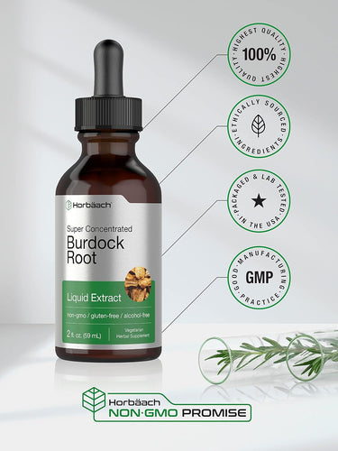 Burdock Root Extract | 2oz Liquid