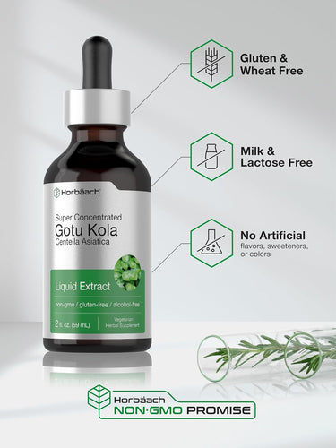 Gotu Kola Extract | 2oz Liquid