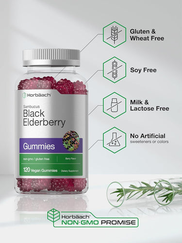 Black Elderberry | 120 Gummies