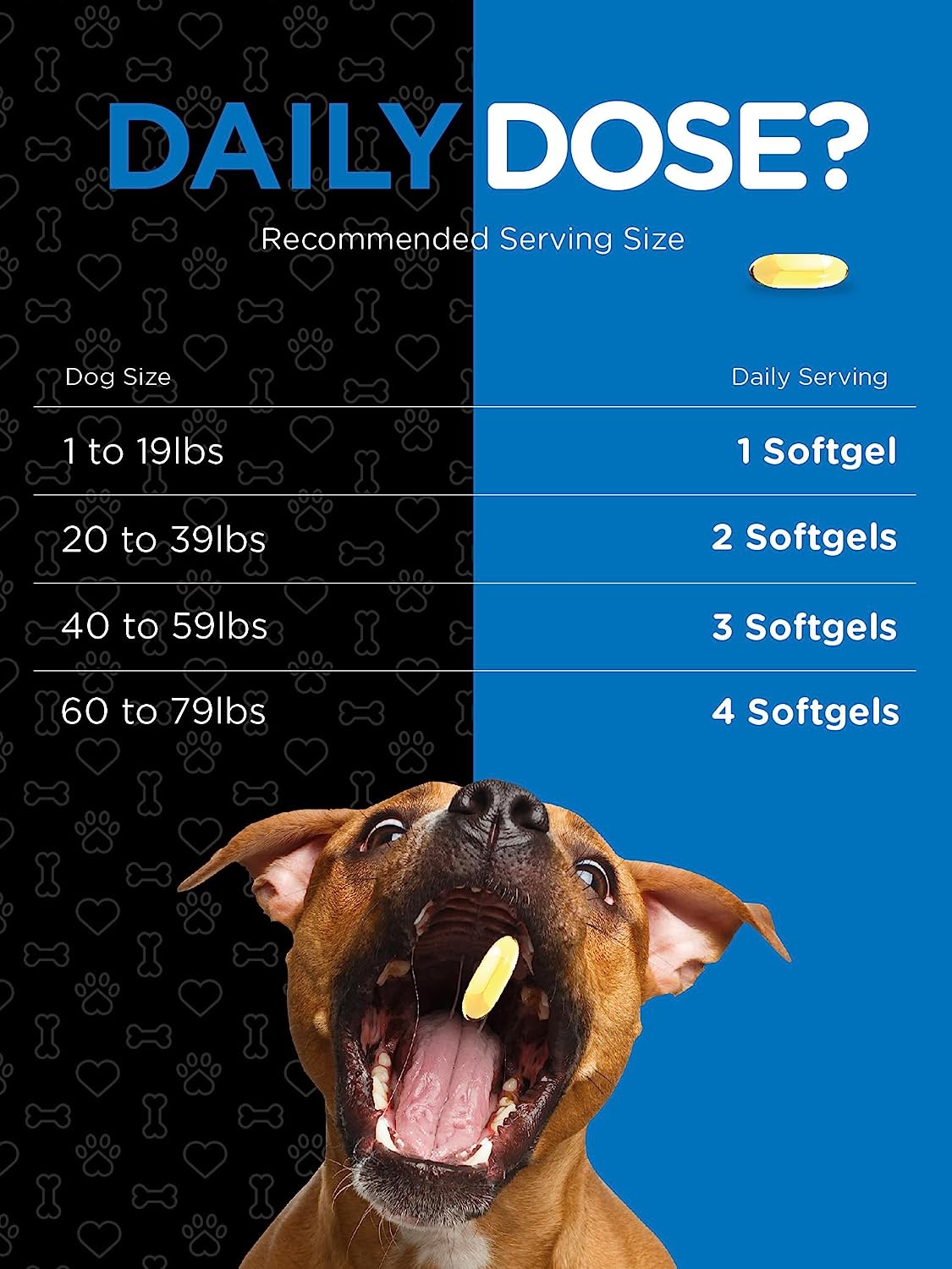 Omega 3 shop dosage for dogs