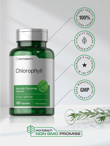 Chlorophyll | 120 Capsules