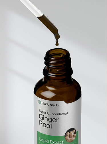 Ginger Root Liquid Extract | 2 fl oz