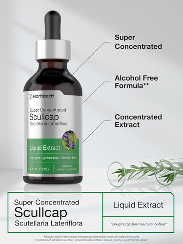 Scullcap Extract | 2oz Liquid